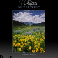 WILDFLOWERS AT CRESTED BUTTE